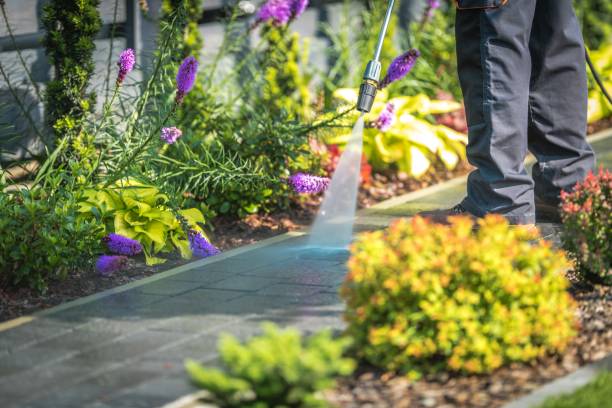 Trusted Trenton, FL Pressure Washing Services Experts