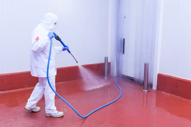 Best Residential Pressure Washing in Trenton, FL